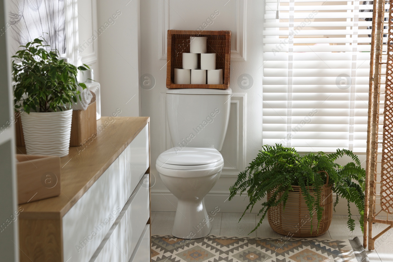 Photo of Folding screen, toilet bowl and houseplants in restroom