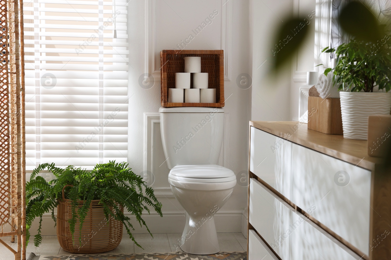 Photo of Folding screen, toilet bowl and houseplants in restroom