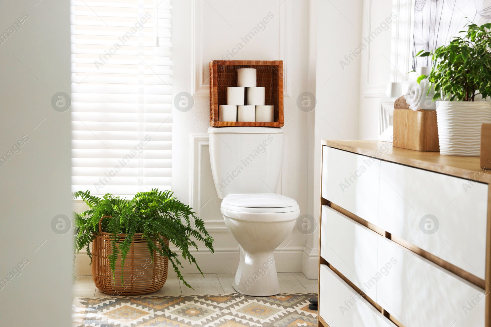 Photo of Toilet bowl, rolls of paper and houseplant in restroom