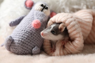 Photo of Adorable little rat in sweater and crocheted toy on faux fur