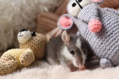 Photo of Adorable little rat and crocheted toys on faux fur