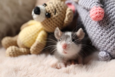 Photo of Adorable little rat and crocheted toys on faux fur, closeup