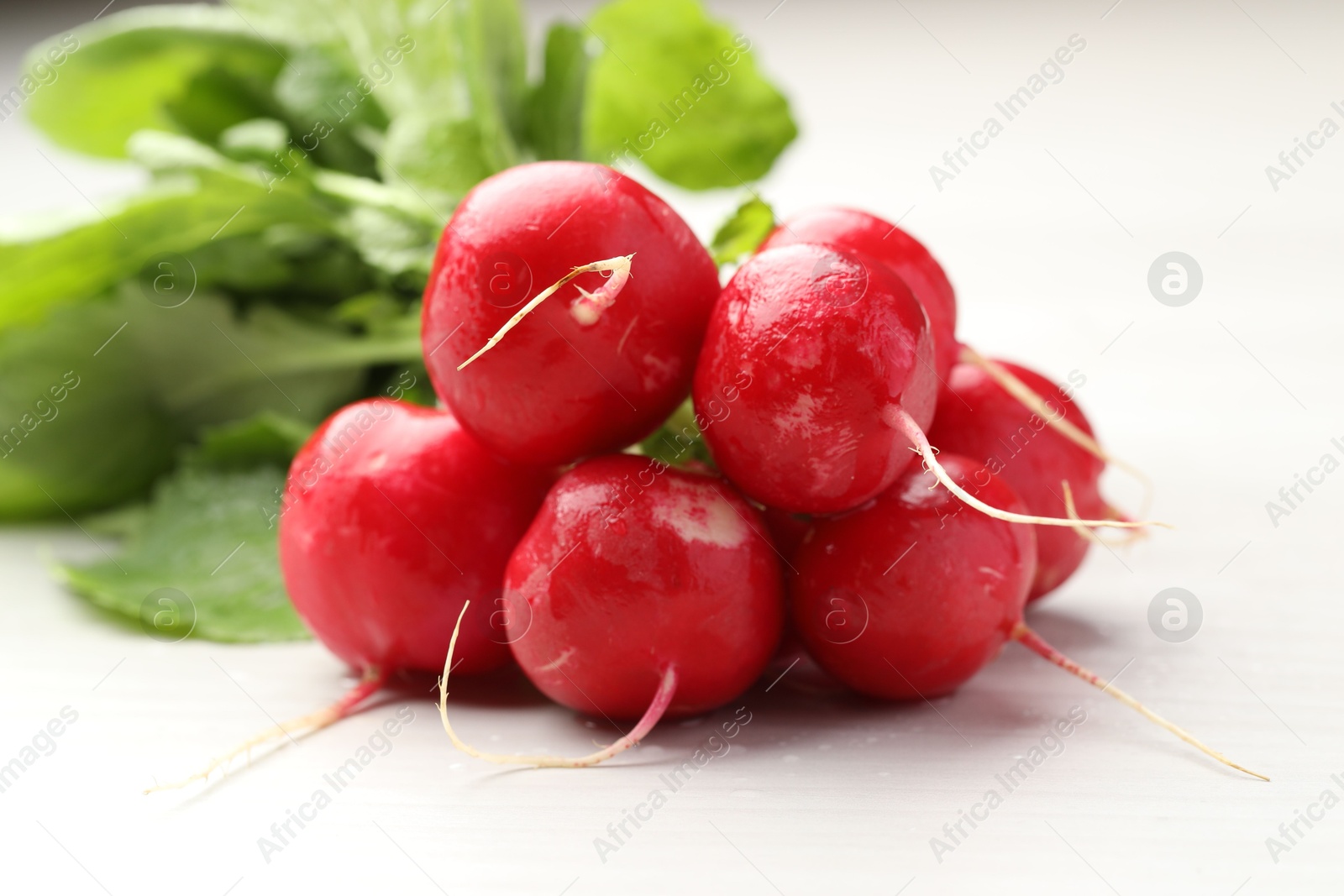 Photo of Bunch of fresh radishes on white wooden table, closeup