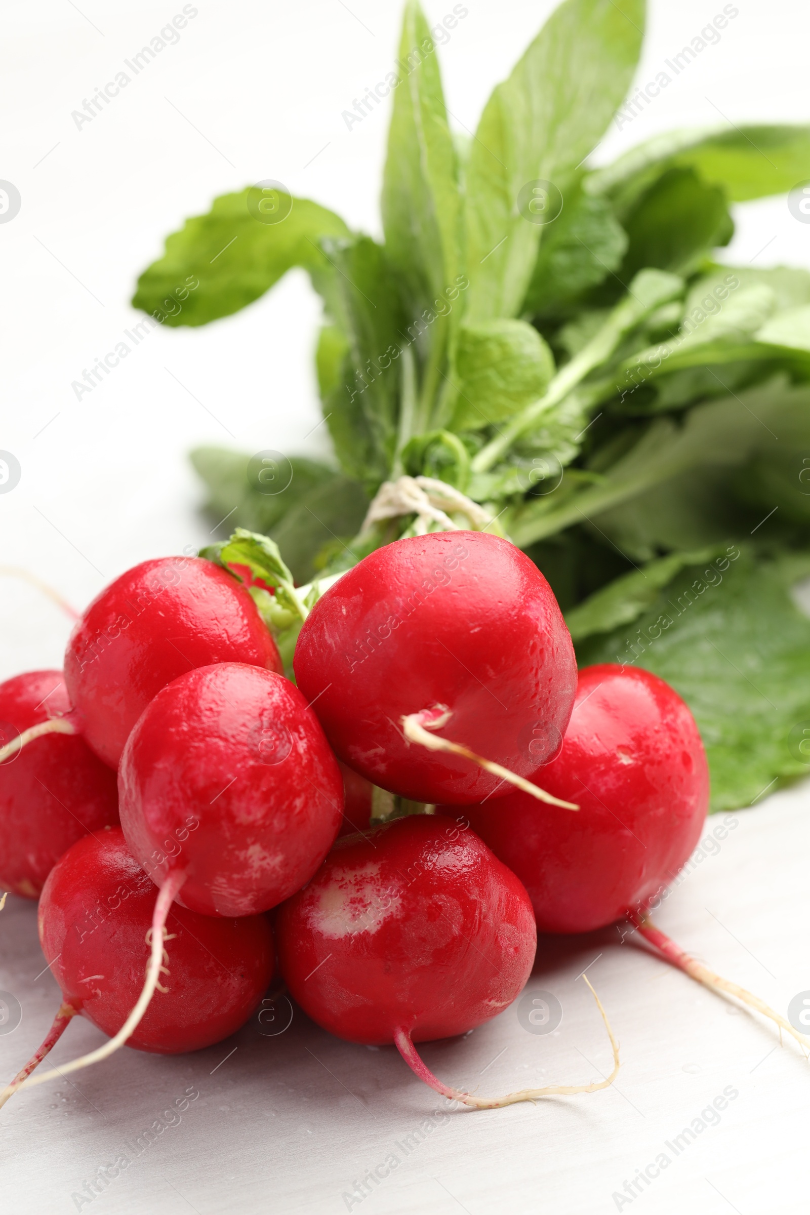 Bunch of fresh radishes on white wooden table, closeup Photo of Bunch of fresh radishes on white wooden table, closeup