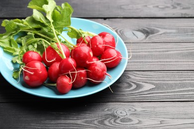 Photo of Many fresh radishes on black wooden table, closeup. Space for text