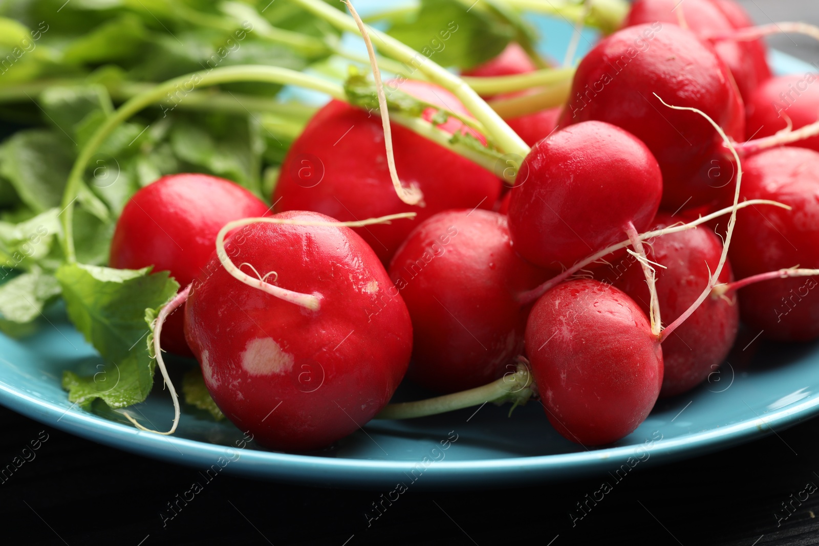 Many fresh radishes on black table, closeup Photo of Many fresh radishes on black table, closeup