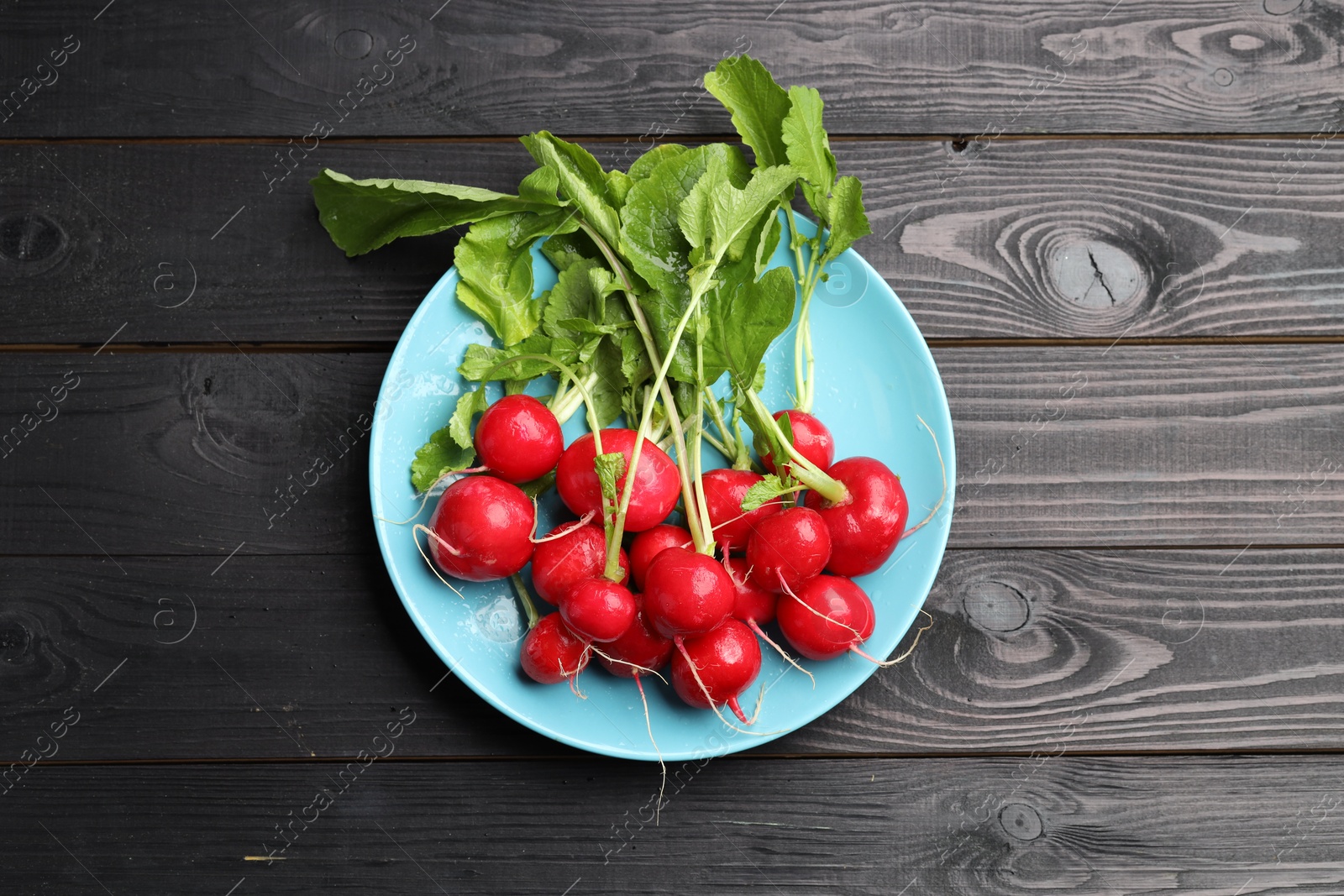 Many fresh radishes on black wooden table, top view Photo of Many fresh radishes on black wooden table, top view