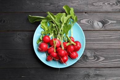 Photo of Many fresh radishes on black wooden table, top view