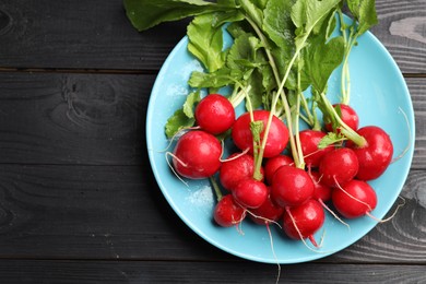 Photo of Many fresh radishes on black wooden table, top view. Space for text