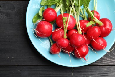Photo of Many fresh radishes on black wooden table, top view. Space for text