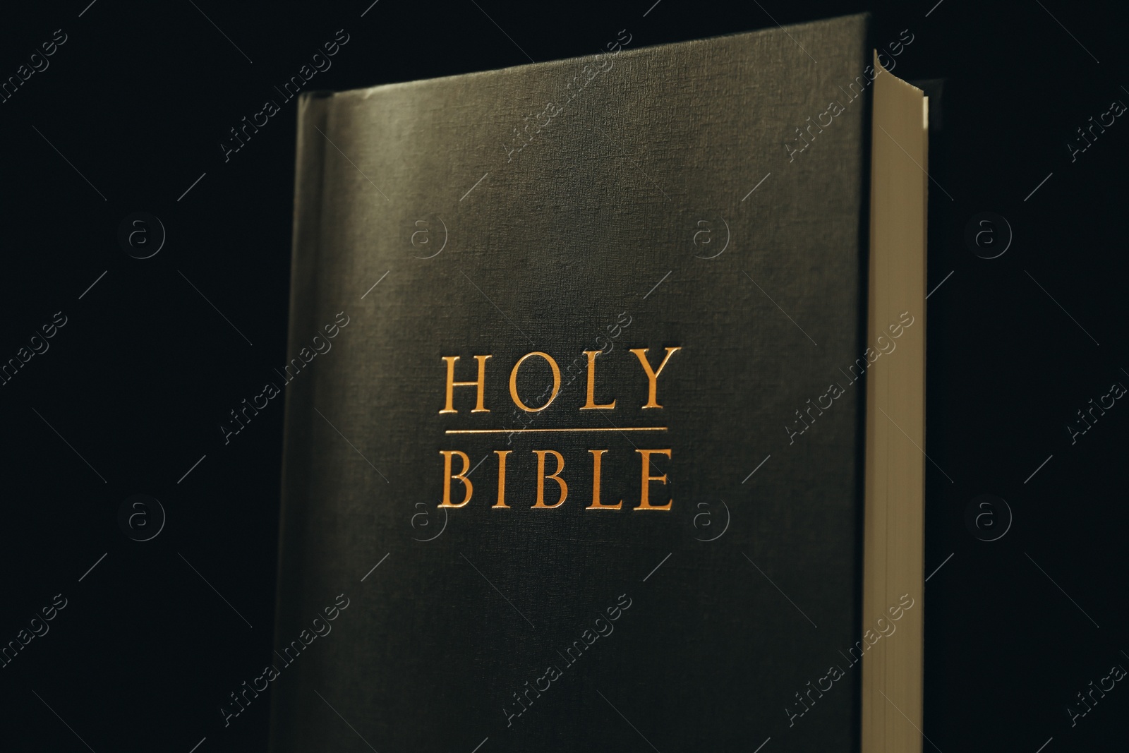 Photo of Hardcover Holy Bible on black background, closeup