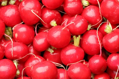 Photo of Many fresh radishes as background, top view