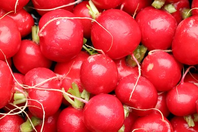 Photo of Many fresh radishes as background, top view