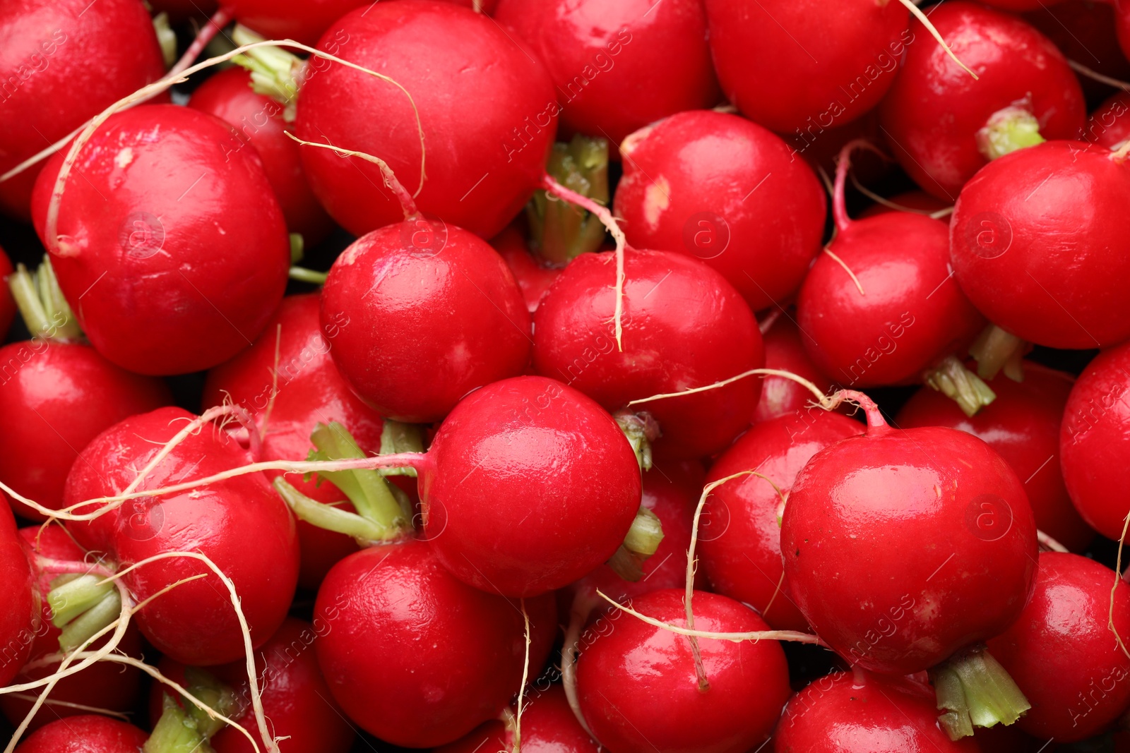 Photo of Many fresh radishes as background, above view