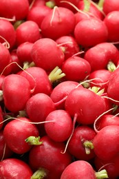 Photo of Many fresh radishes as background, above view