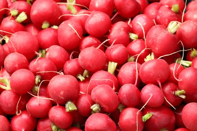 Photo of Many fresh radishes as background, above view