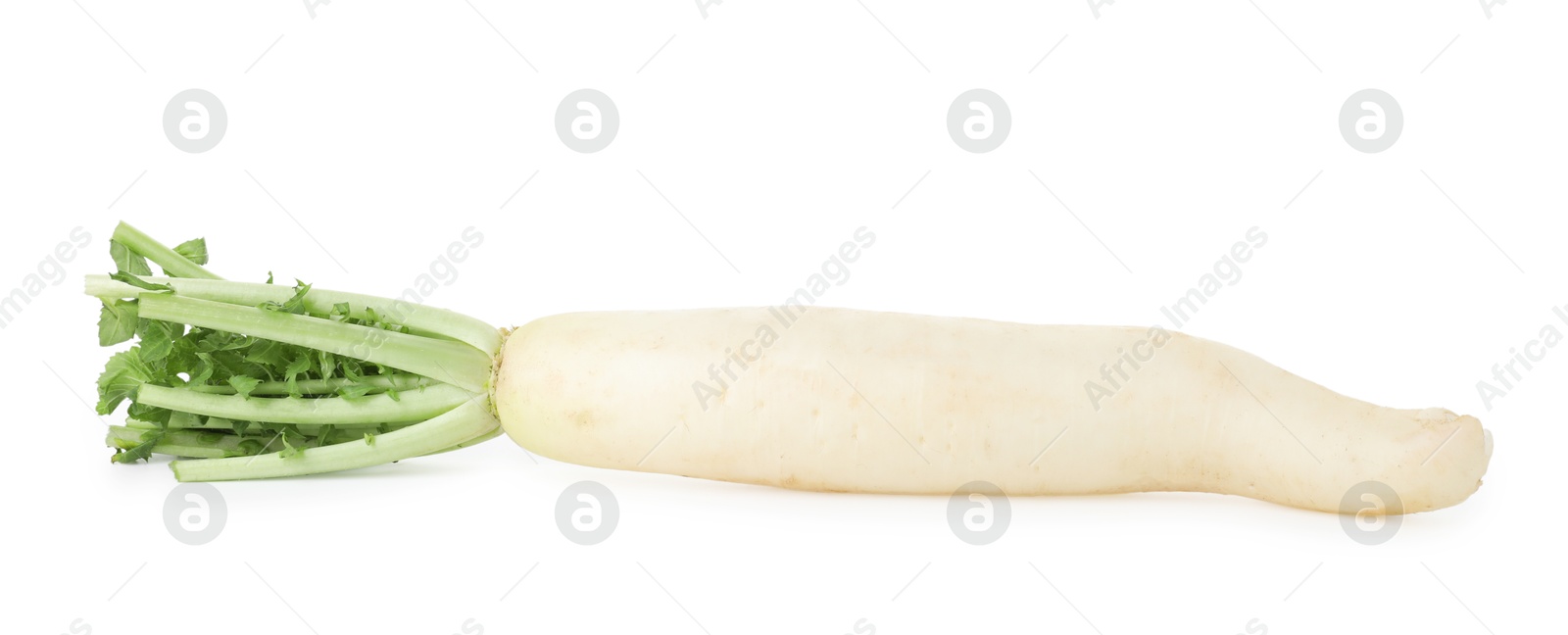 Photo of Whole fresh turnip isolated on white. Vegetable root