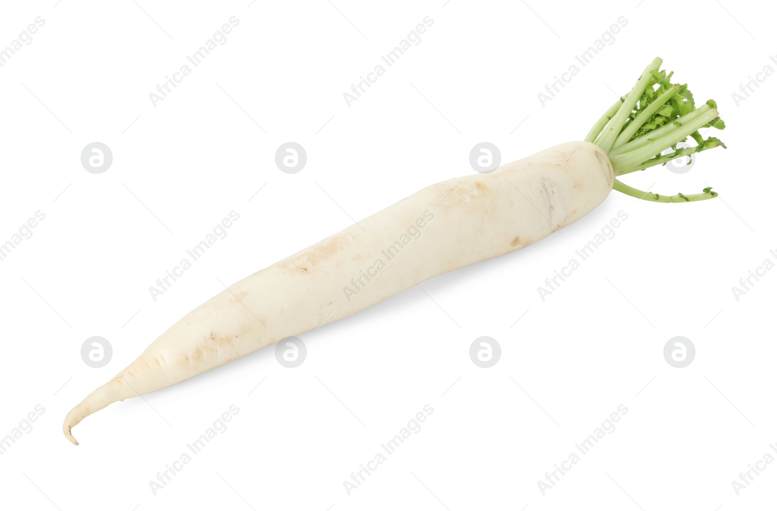 Photo of Whole fresh turnip isolated on white. Vegetable root