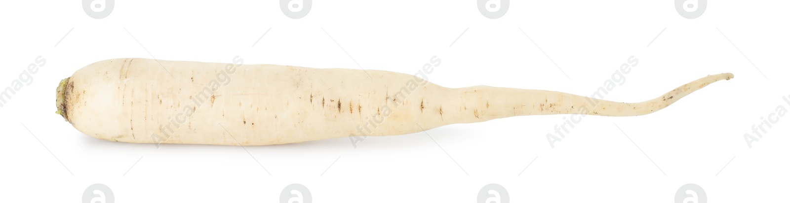 Photo of Whole fresh turnip isolated on white. Vegetable root