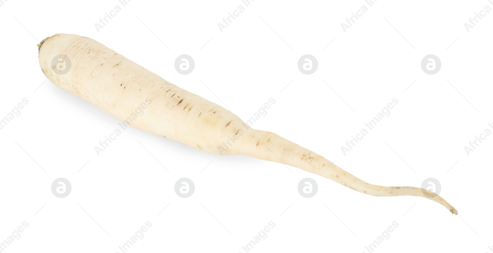 Photo of Whole fresh turnip isolated on white. Vegetable root