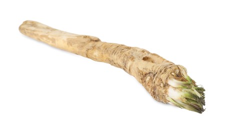 Photo of One fresh horseradish root isolated on white