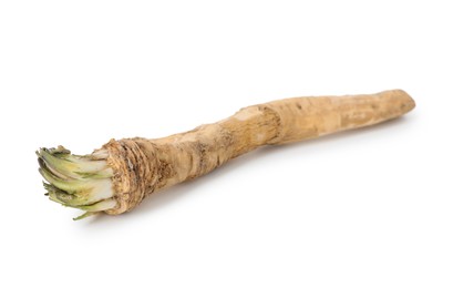 Photo of One fresh horseradish root isolated on white