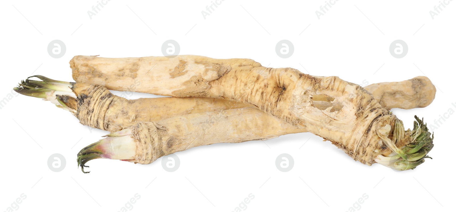 Photo of Three fresh horseradish roots isolated on white