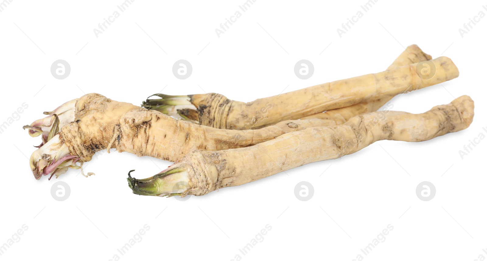 Photo of Three fresh horseradish roots isolated on white