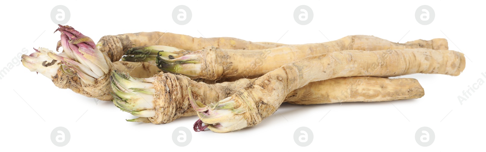 Photo of Many fresh horseradish roots isolated on white