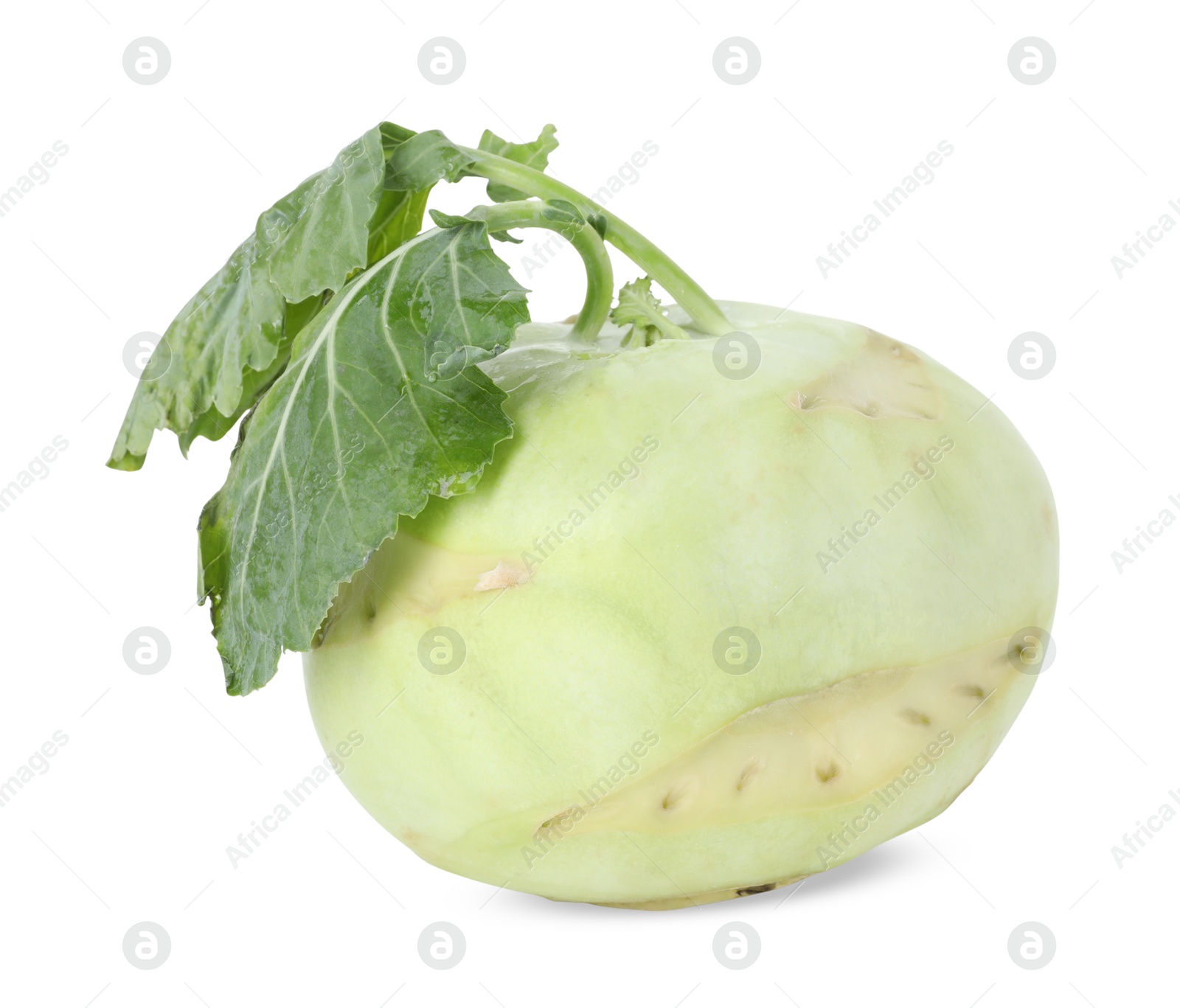 Photo of One fresh kohlrabi isolated on white. Vegetable root