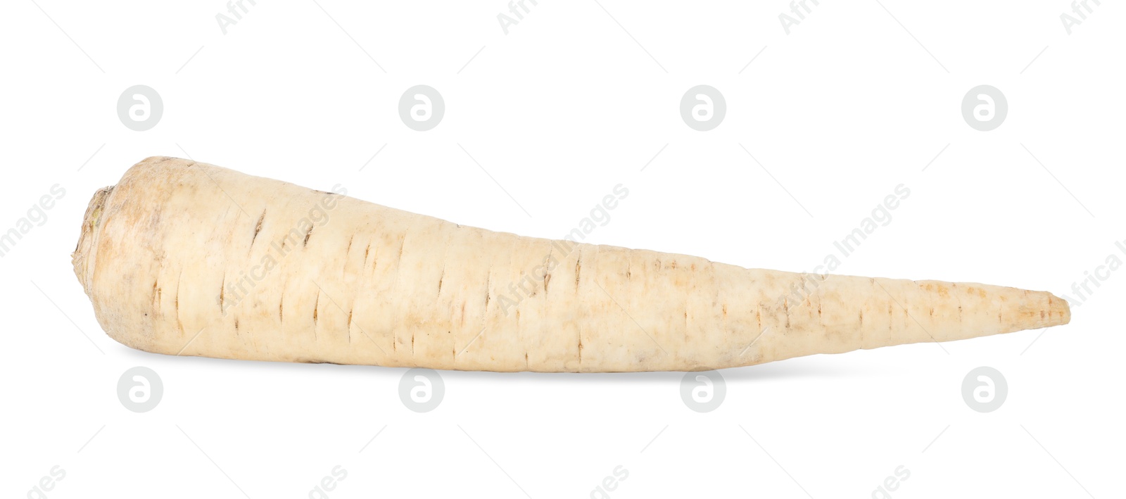 Photo of One raw parsley root isolated on white