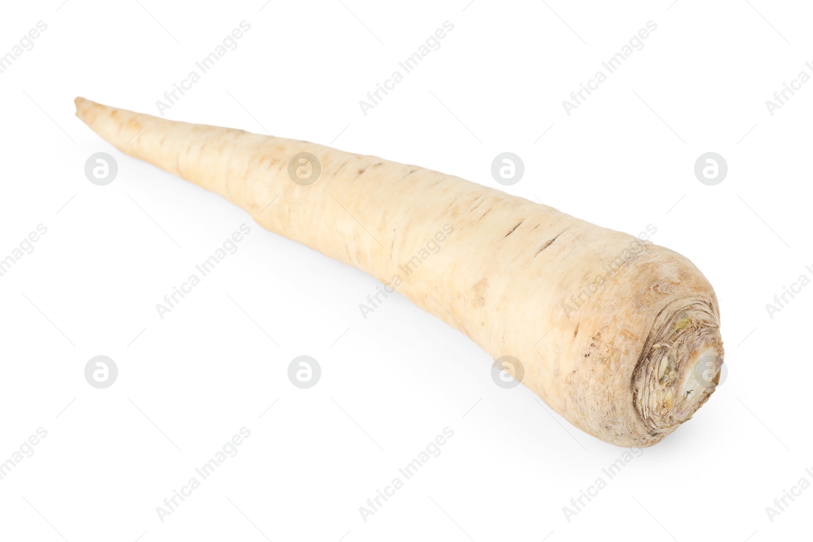 Photo of One raw parsley root isolated on white