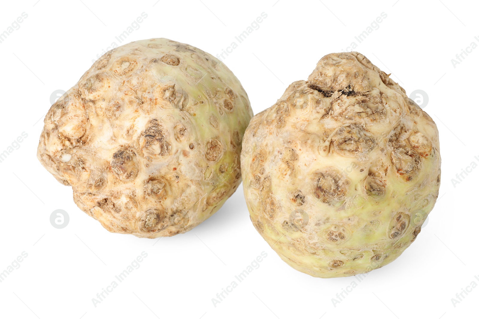 Photo of Two fresh celery roots isolated on white