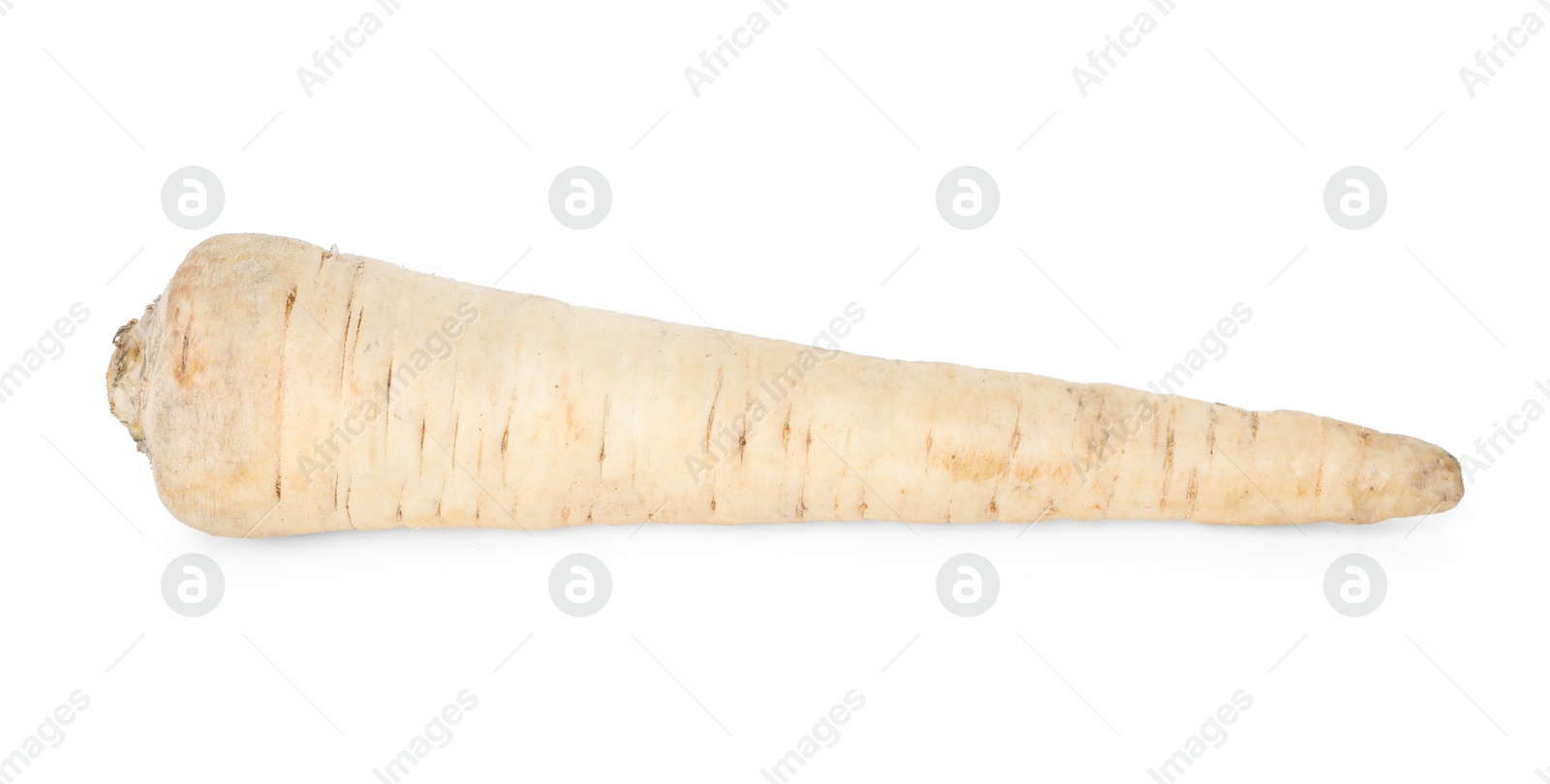 Photo of One raw parsley root isolated on white