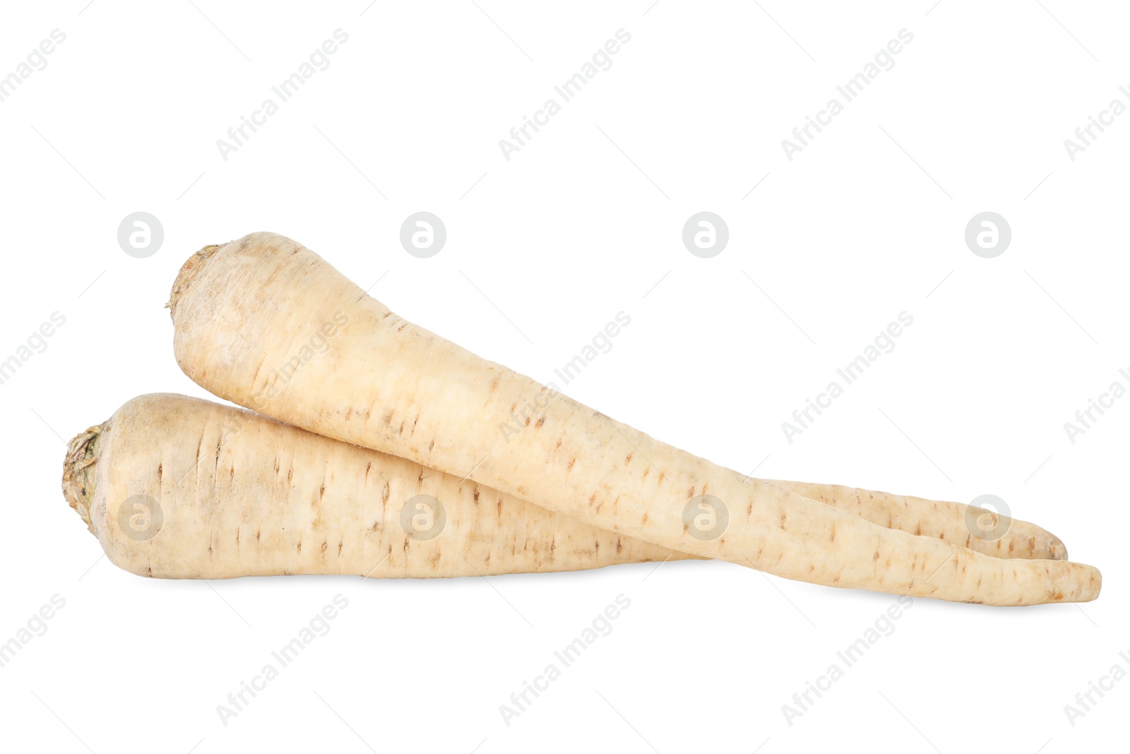 Photo of Two raw parsley roots isolated on white