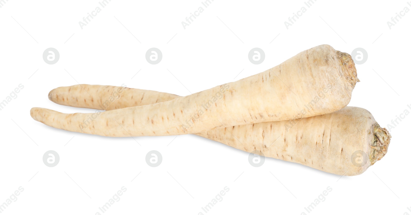 Photo of Two raw parsley roots isolated on white