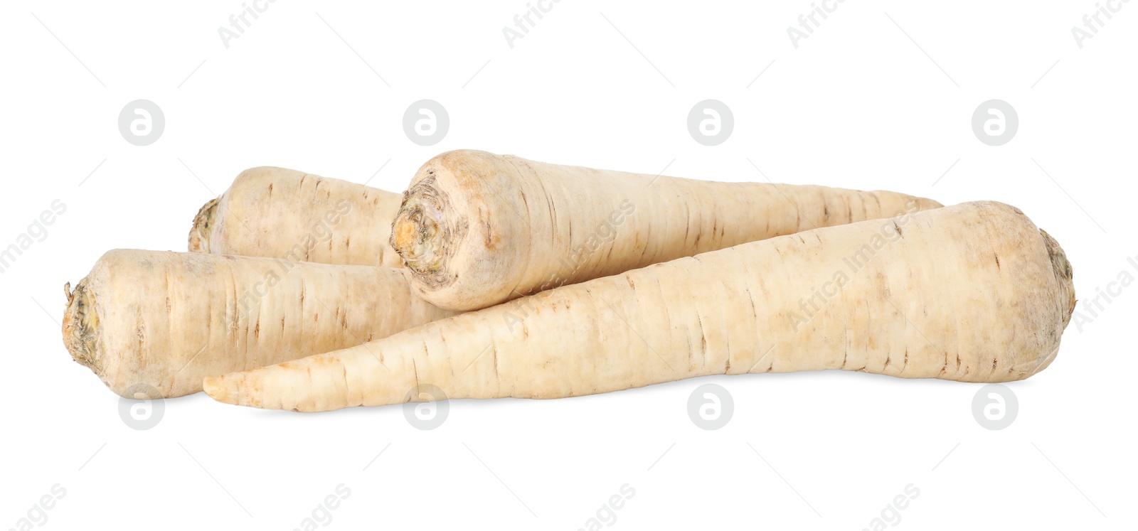 Photo of Many raw parsley roots isolated on white