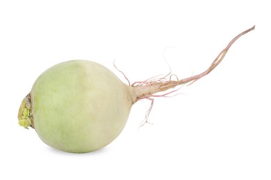 Photo of Whole fresh turnip isolated on white. Vegetable root