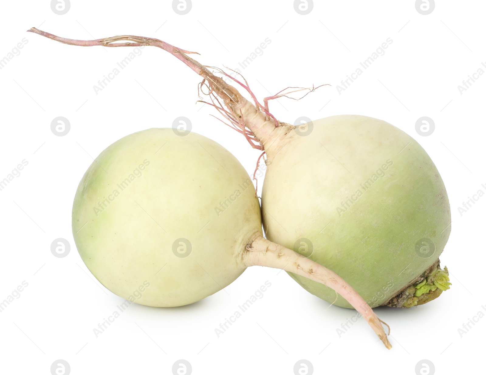 Photo of Whole fresh turnips isolated on white. Vegetable root