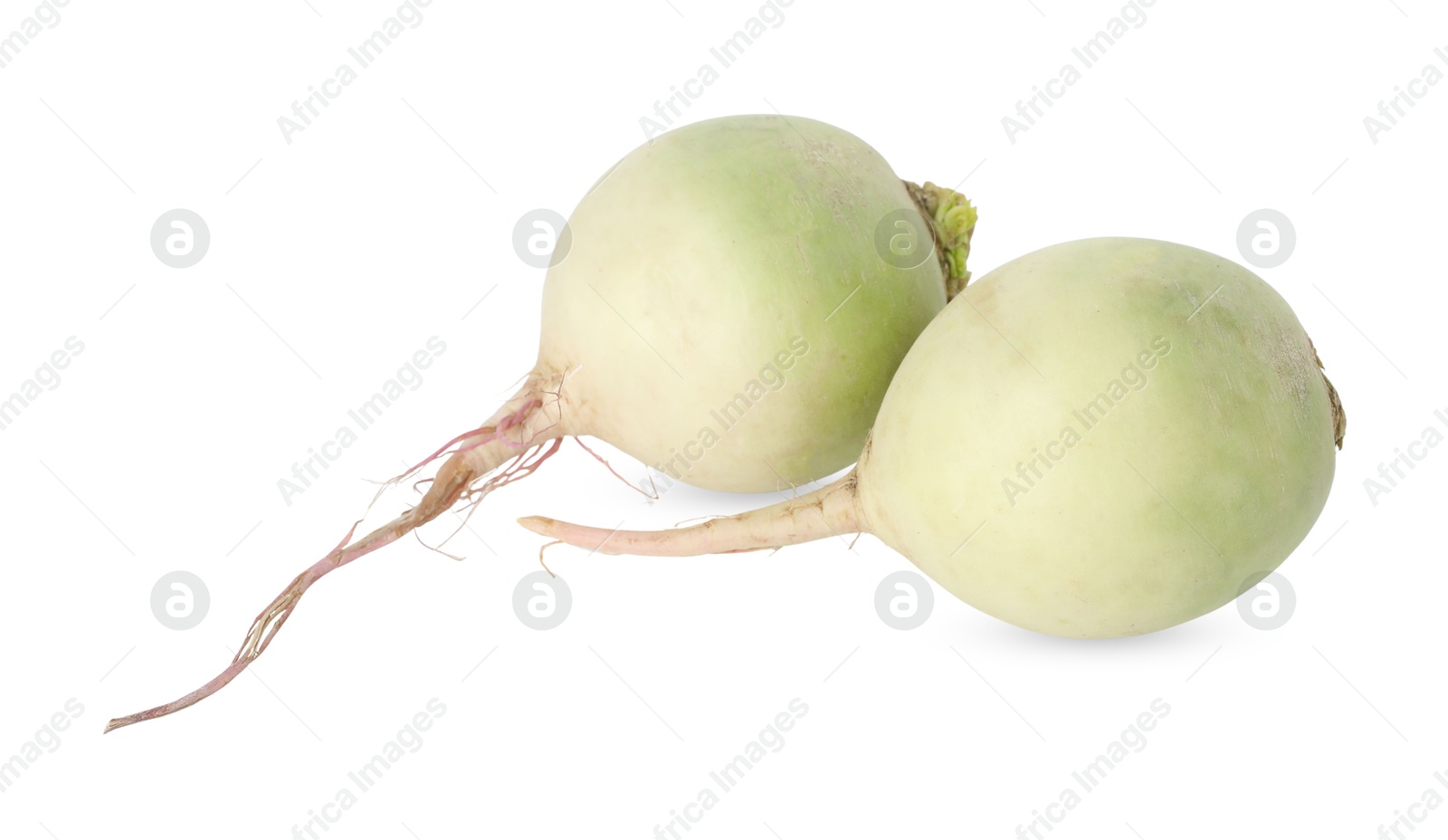 Photo of Whole fresh turnips isolated on white. Vegetable root