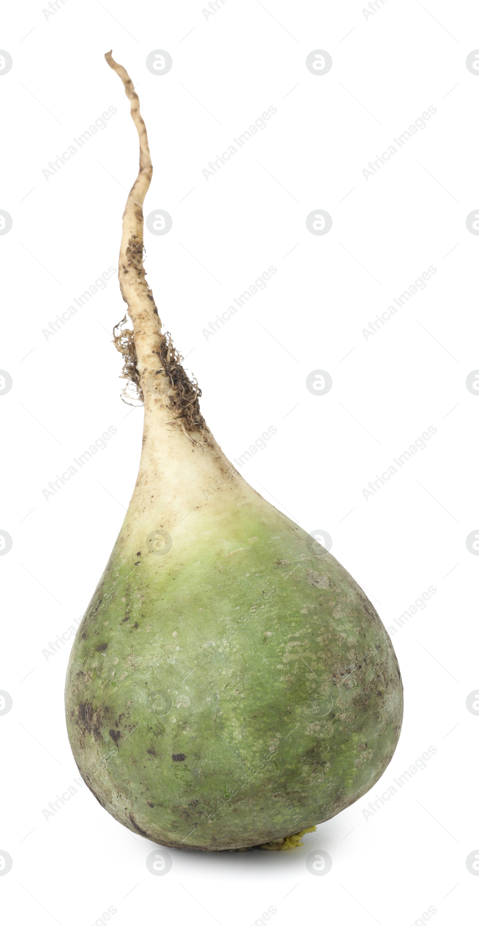 Photo of Whole fresh turnip isolated on white. Vegetable root