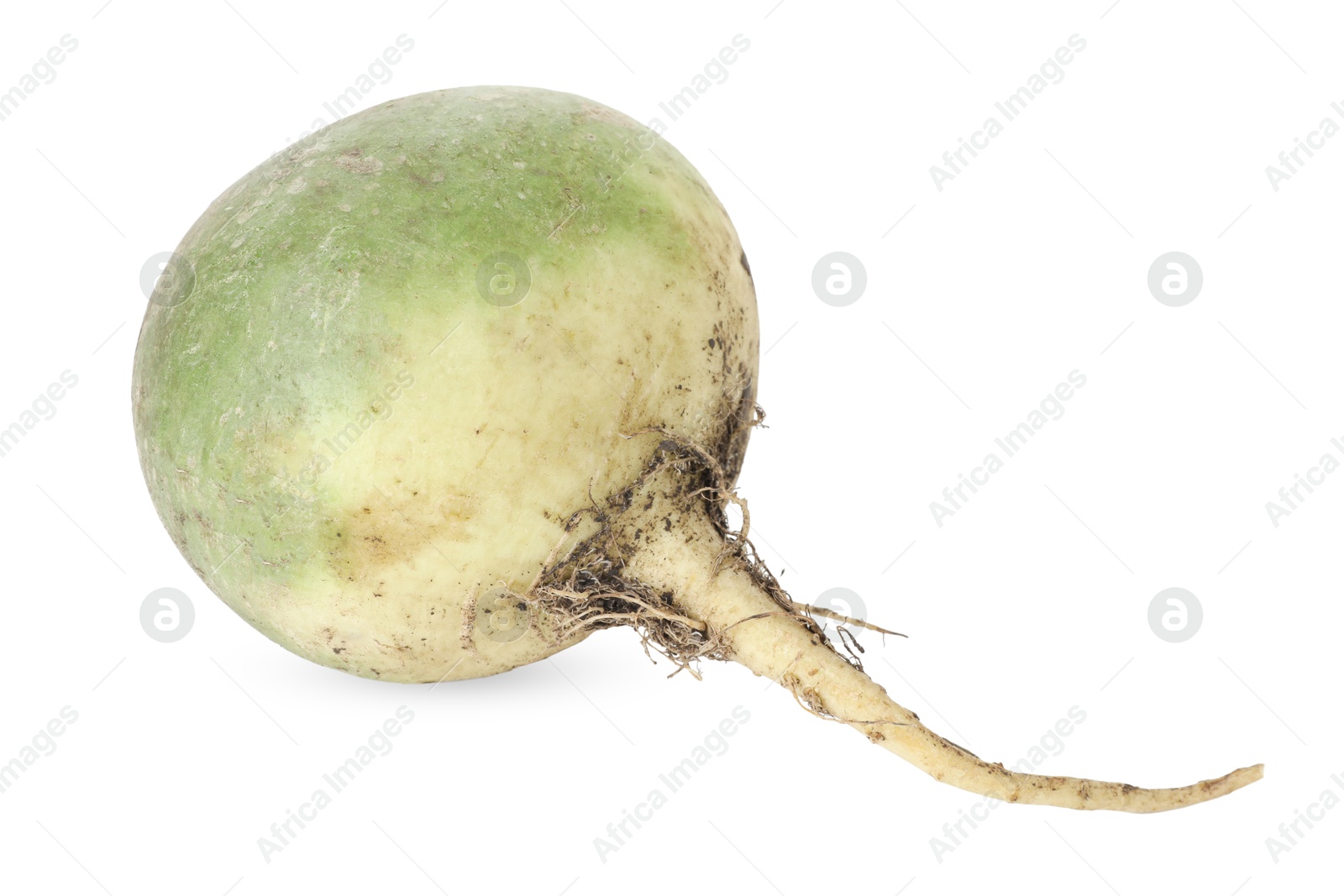 Photo of Whole fresh turnip isolated on white. Vegetable root