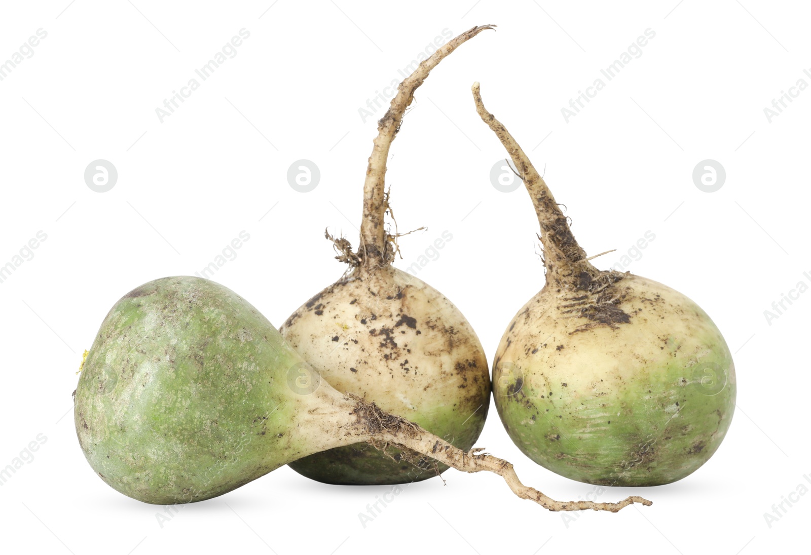 Photo of Whole fresh turnips isolated on white. Vegetable root