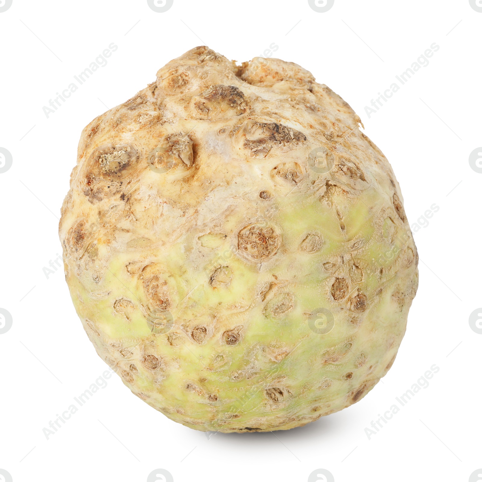 Photo of One fresh celery root isolated on white