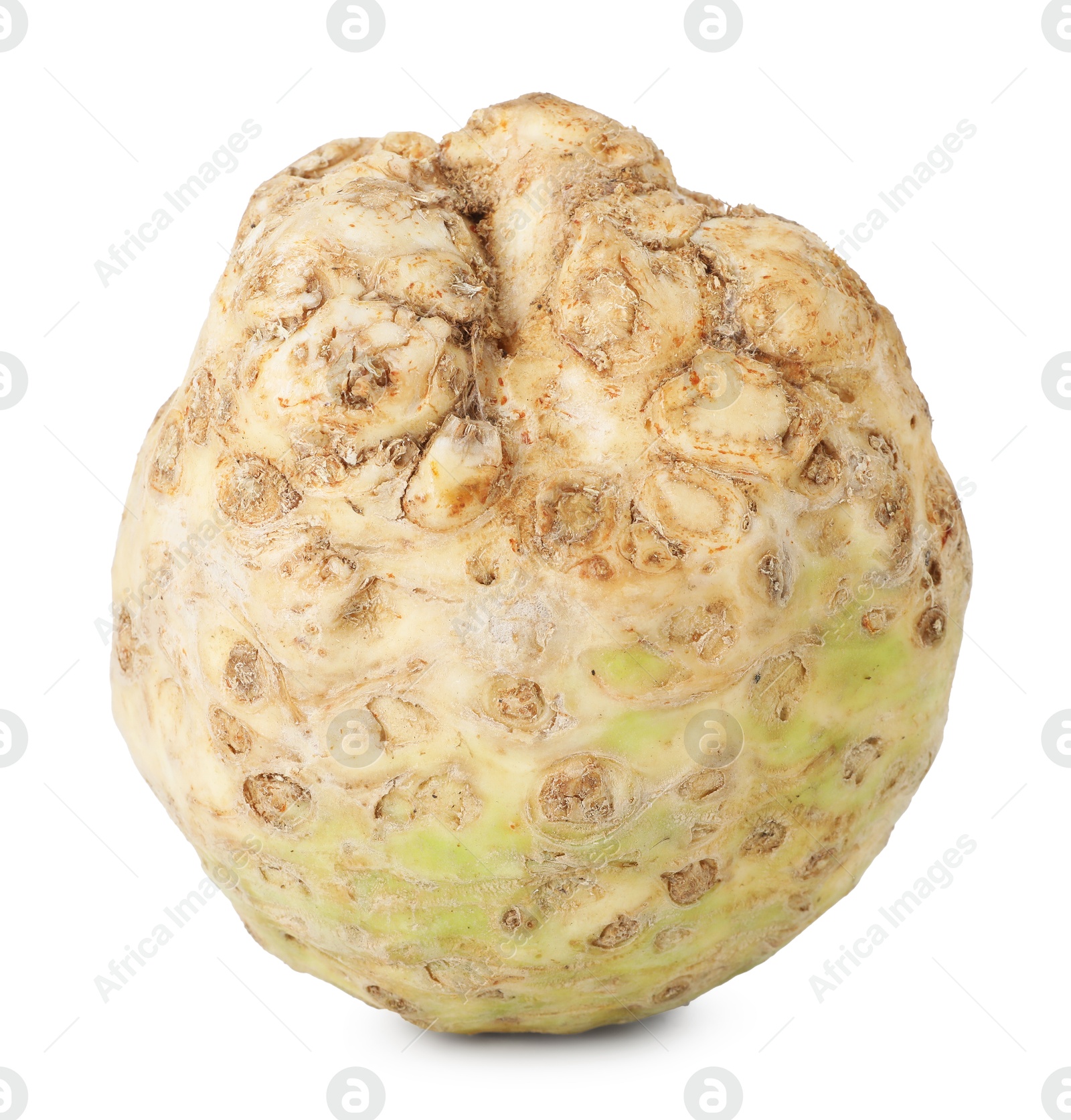 Photo of One fresh celery root isolated on white