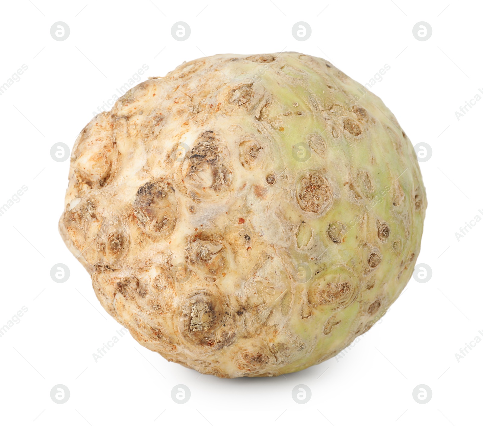 Photo of One fresh celery root isolated on white