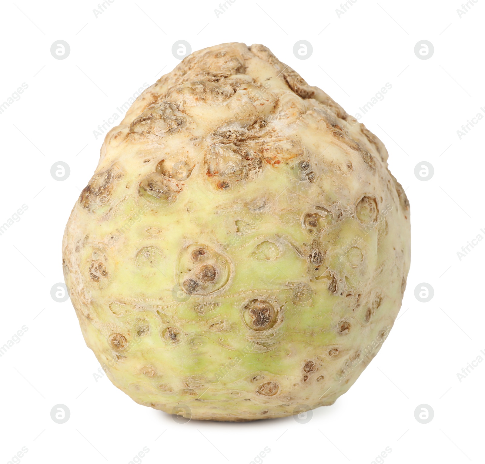 Photo of One fresh celery root isolated on white