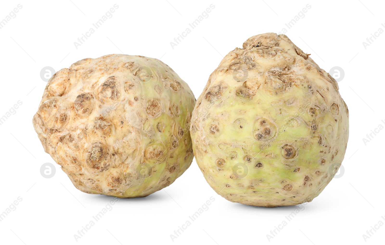 Photo of Two fresh celery roots isolated on white