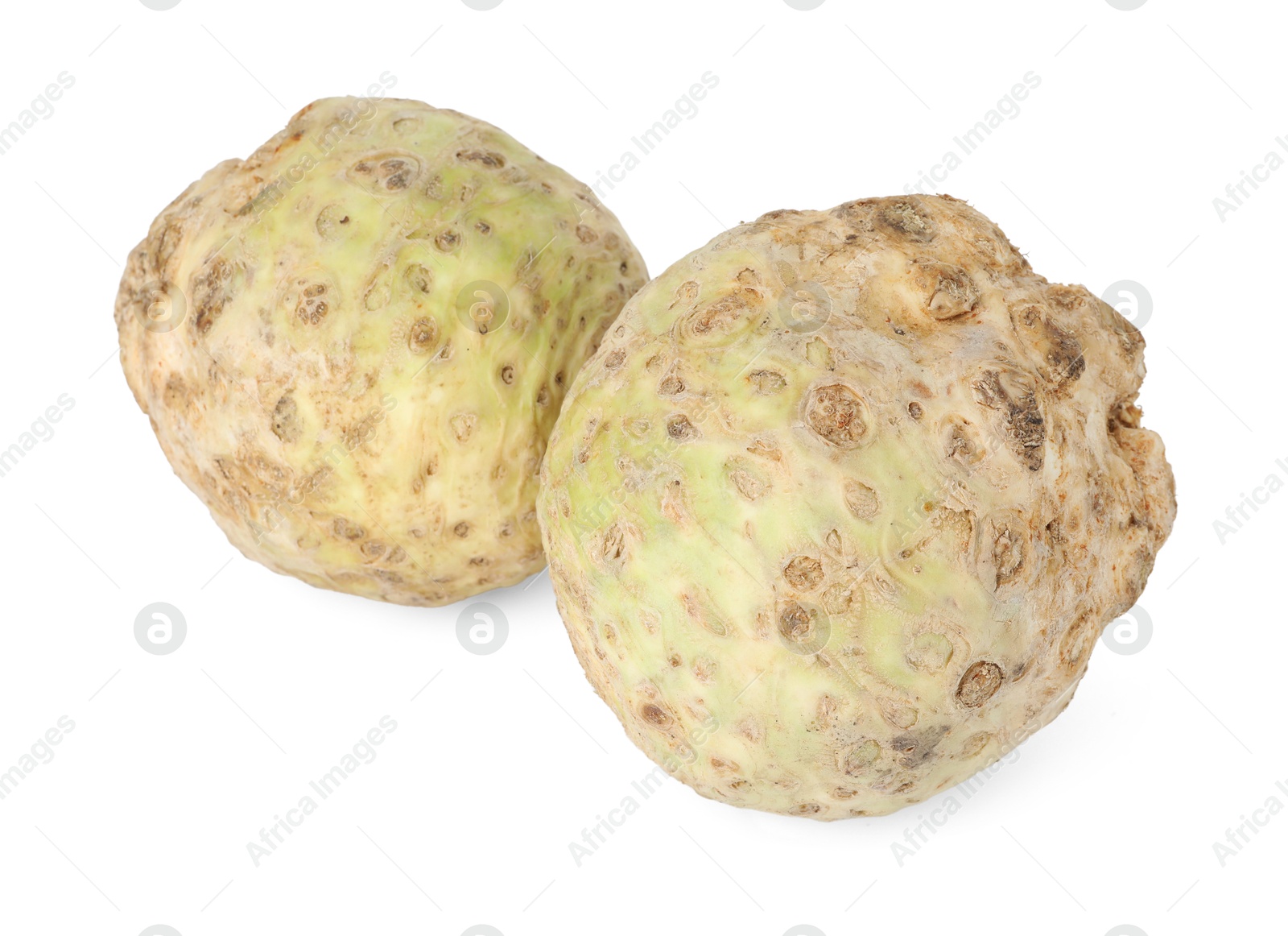 Photo of Two fresh celery roots isolated on white