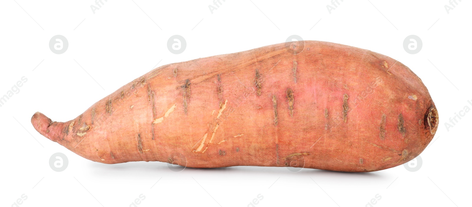 Photo of One fresh sweet potato isolated on white. Vegetable root